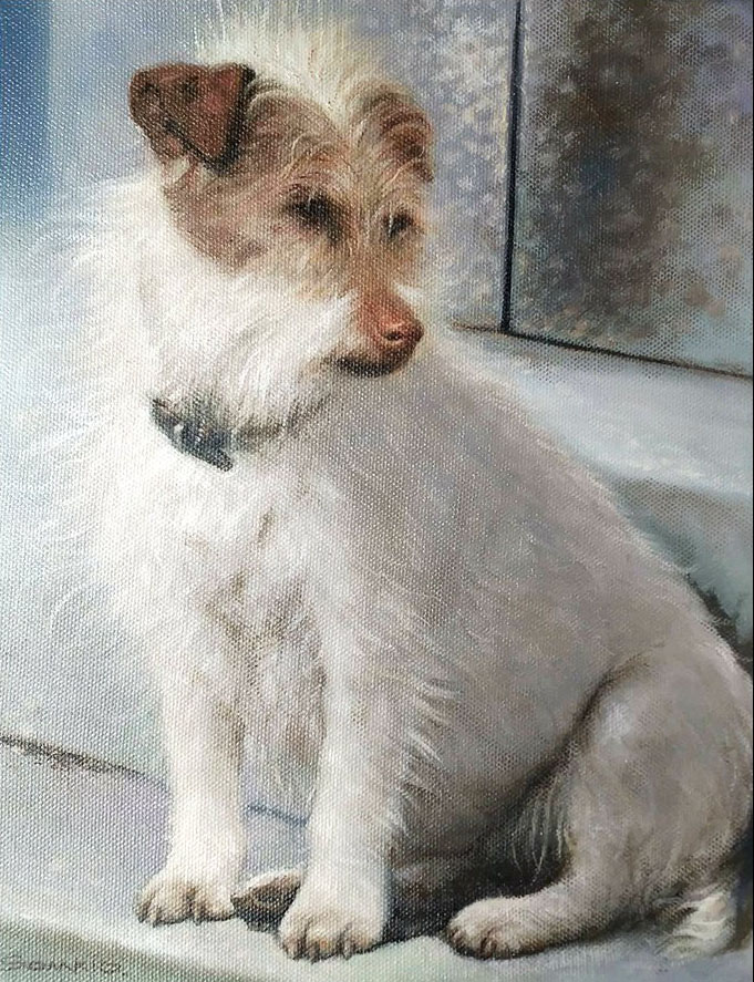 Porträtbild eines Hundes