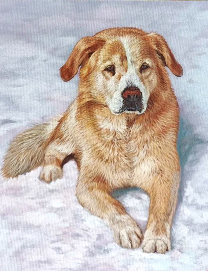 Porträt eines roten Hundes